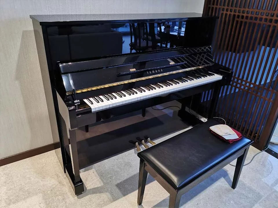 YAMAHA YM5