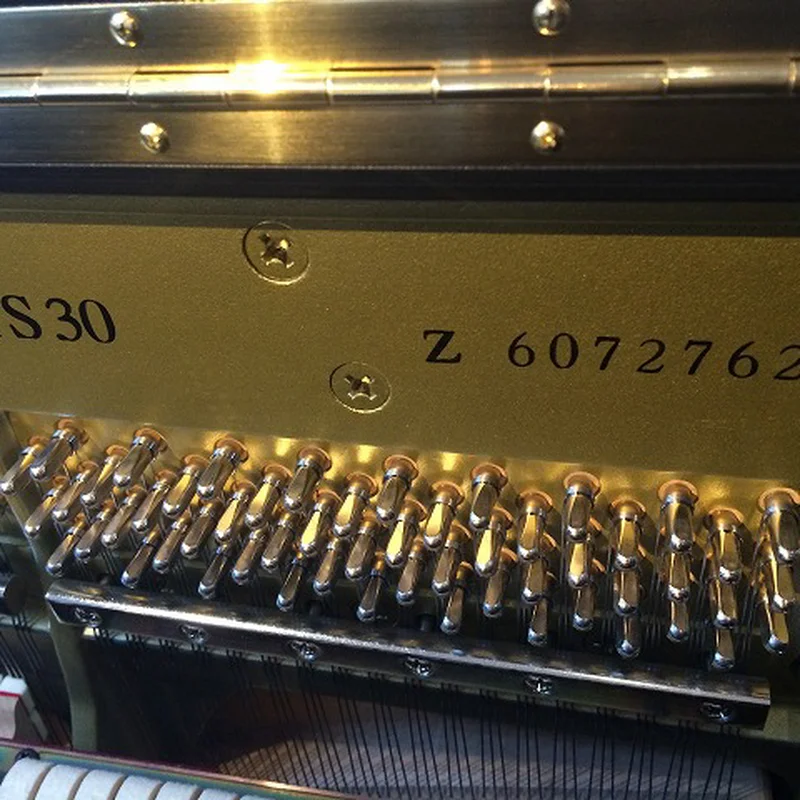 YAMAHA YS30 SB Silent