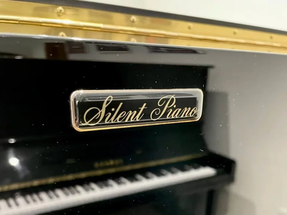 YAMAHA YS30 SB Silent