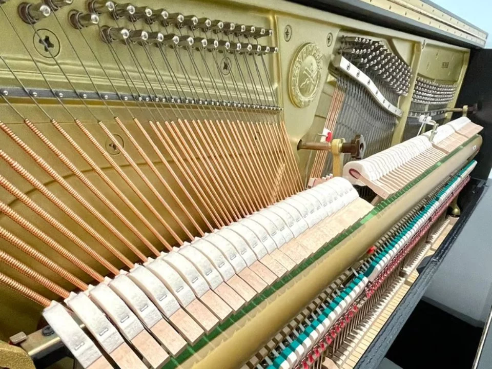 YAMAHA YS30 SB Silent