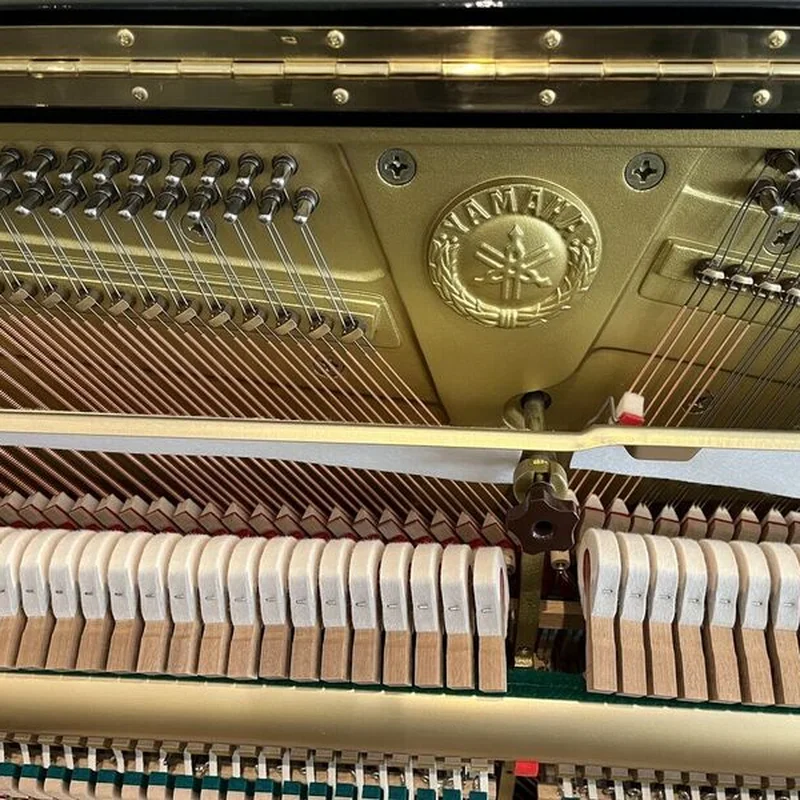 YAMAHA YU5 Wn (Autoplay + Silent)