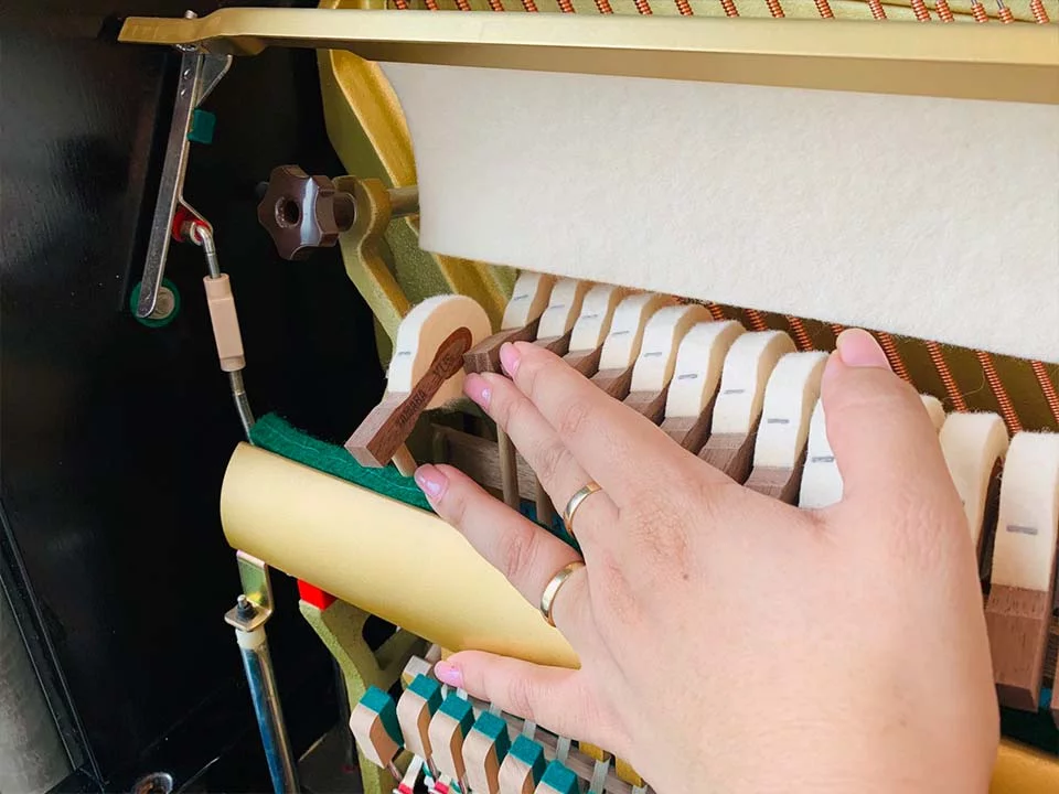 YAMAHA YUS5 SH3 PE (new)