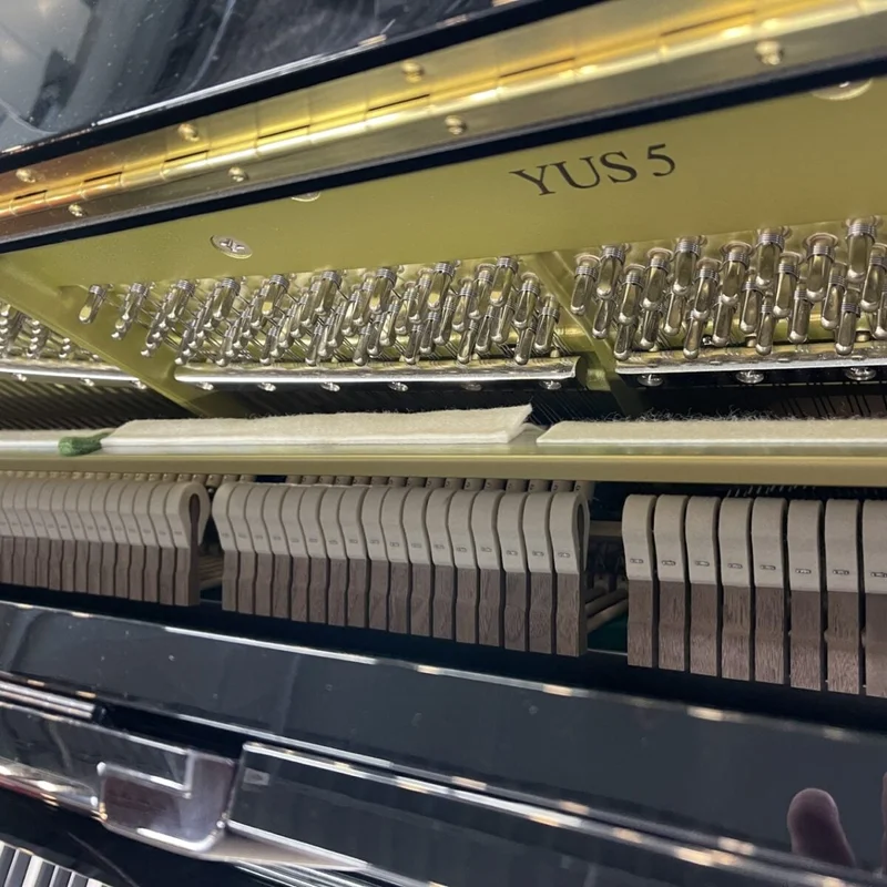 YAMAHA YUS5 PWH (new)