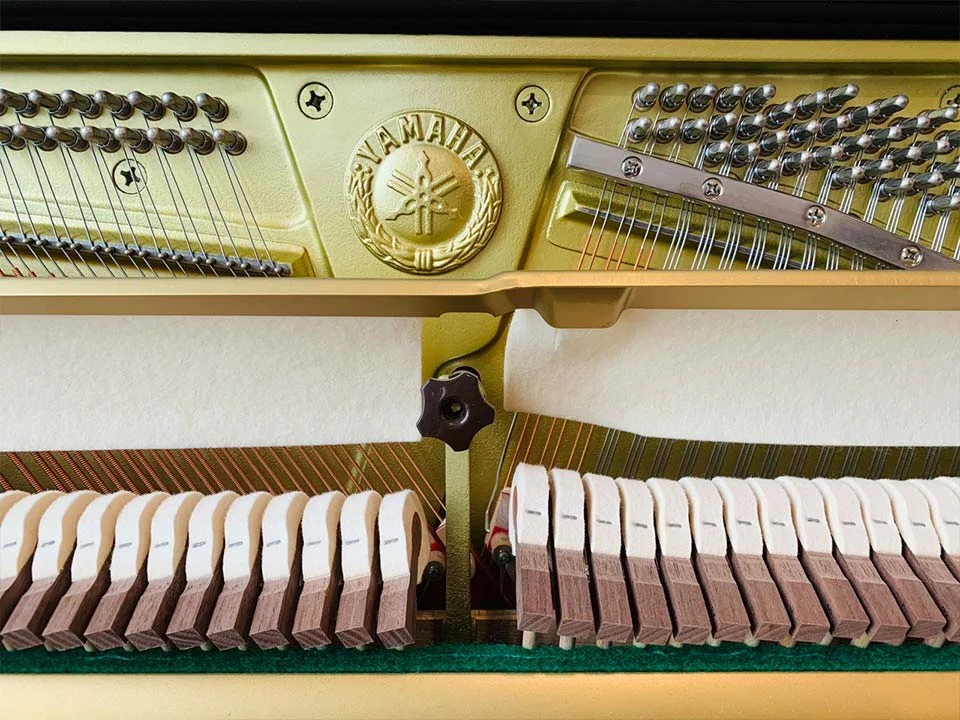 YAMAHA YUS5 PE (new)