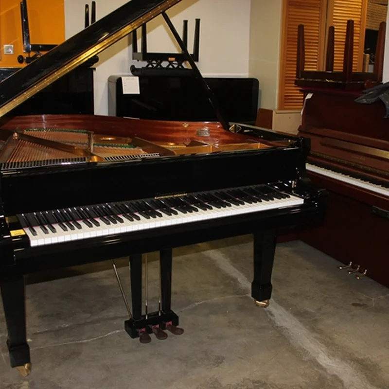 Zimmermann Z175 Standard