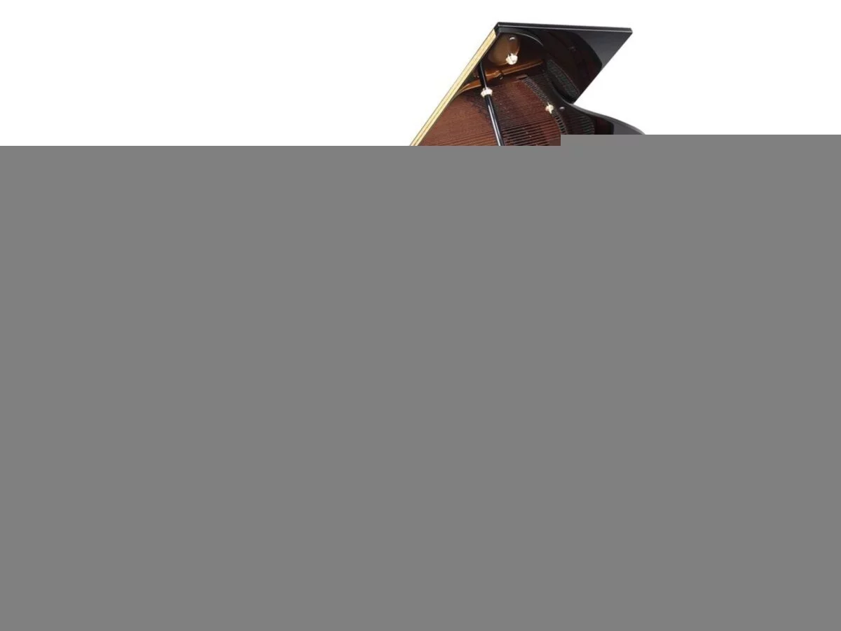 Zimmermann Z175 Standard