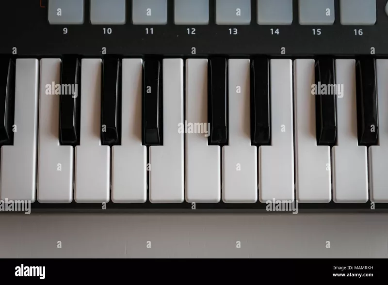 Alfred Piano: Giải Mã "Thế Giới Màu Sắc" – Lộ Trình Vỡ Lòng Từ Zero Đến Bản Nhạc Đầu Tiên