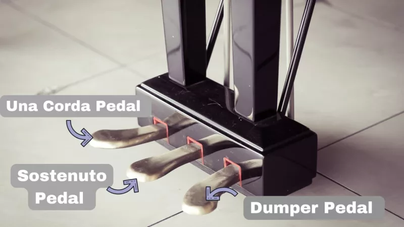 Giải Mã Sức Hút Của "Xuân Này Con Không Về": Bản Nhạc Piano Việt Nam Dễ Chơi Nào Khác Làm "Chạm Tới" Trái Tim Bạn?