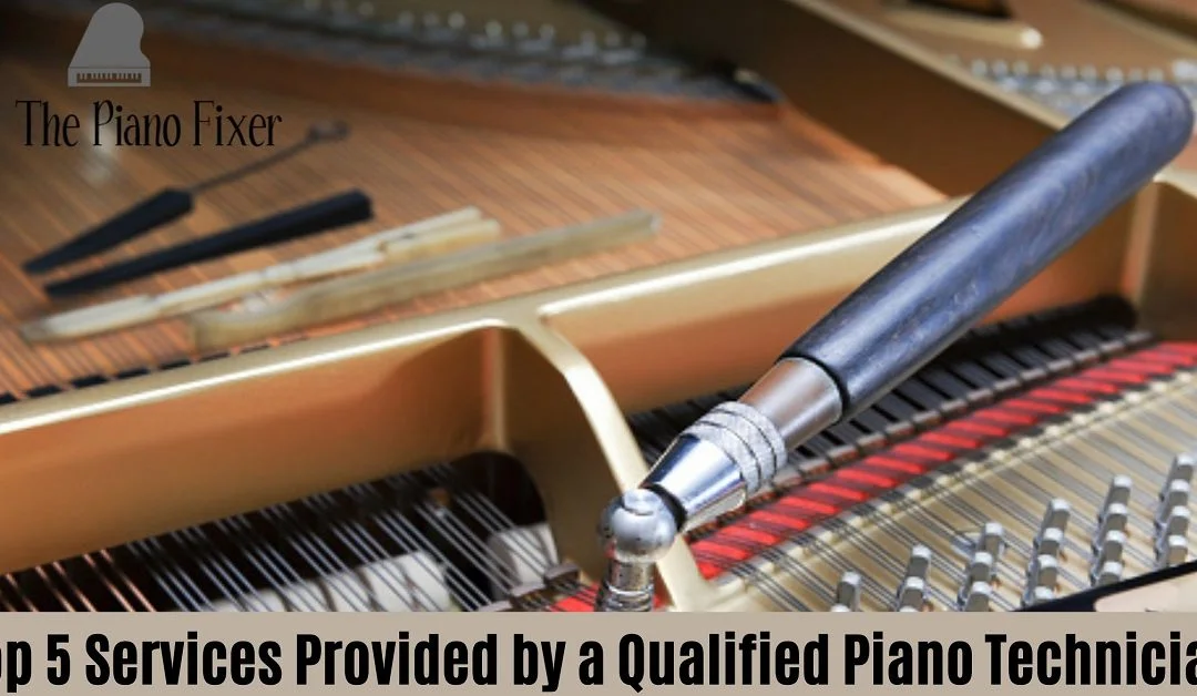 Bao Duong & Sua Chua Piano: Sach Tham Khao Day Du Tu A-Z - Hinh 2