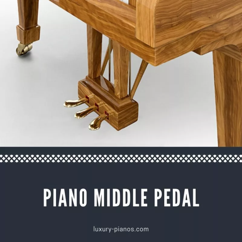 Phá vỡ “Rào cản Tâm lý”: Luyện Piano Không Chỉ Bằng Ngón Đàn, Mà Bằng Cả Sức Mạn