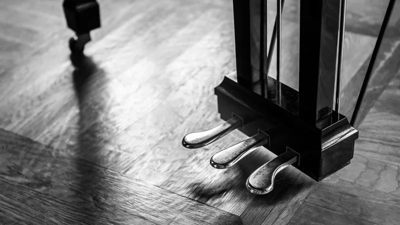 Hơi Thở" Cảm Xúc: Khi Ngón Đàn Không Chỉ Là Kỹ Thuật, Mà Là "Dòng Chảy" Của Tâm Hồn Trên Phím Đàn Piano