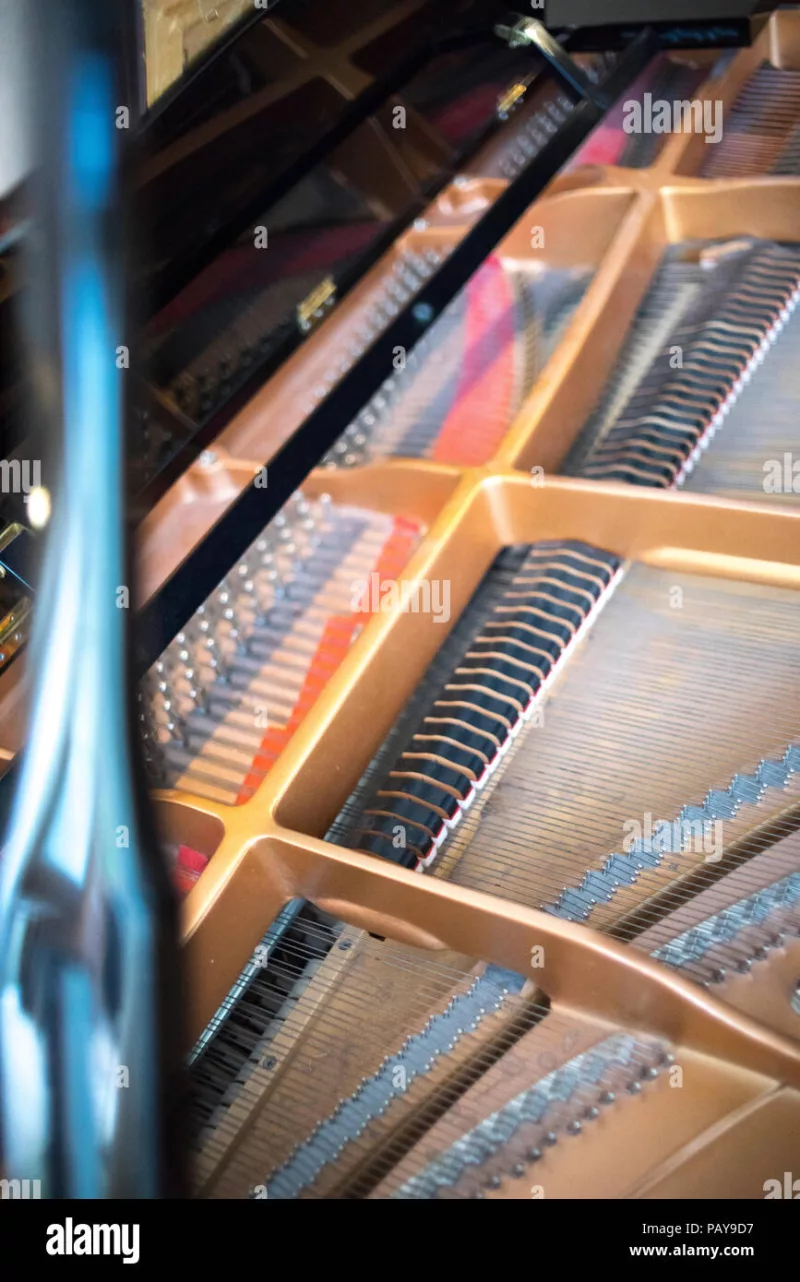 Đàn piano chất lượng cao