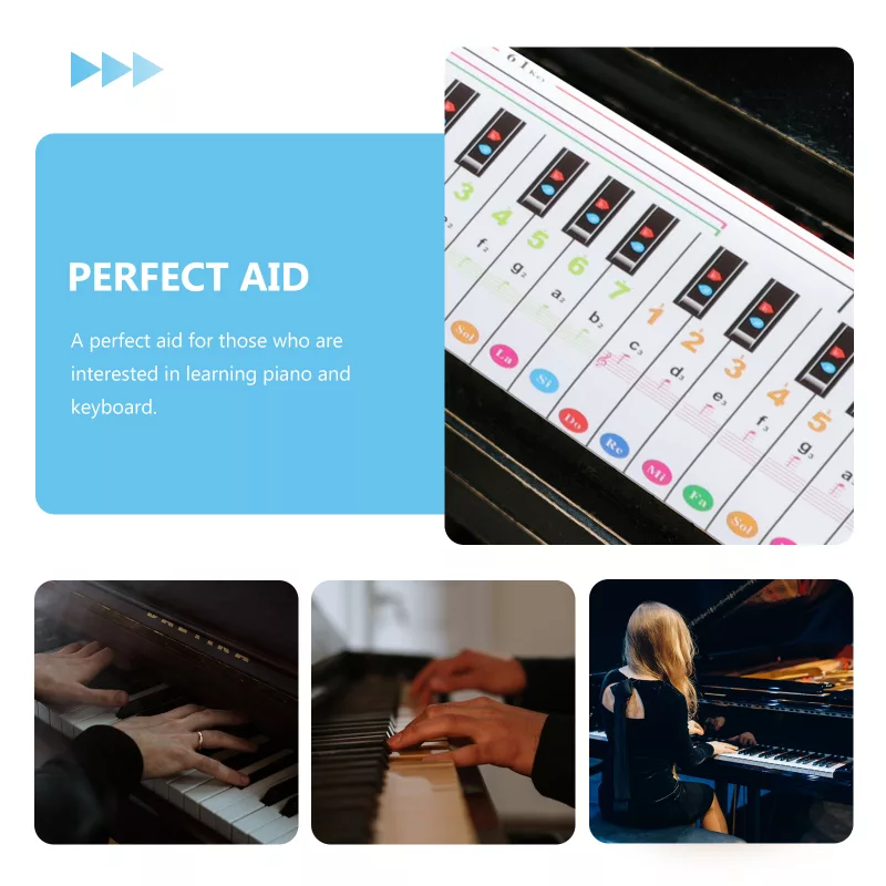 Giải Mã Cấu Trúc Sonata: Chìa Khóa "Đọc Vị" Các Tác Phẩm Kinh Điển và Nâng Tầm Biểu Cảm Piano