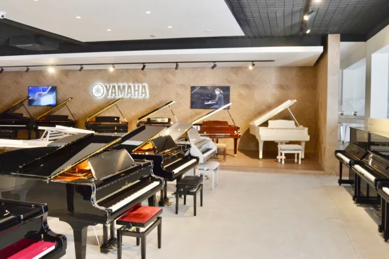 Sửa chữa đàn piano