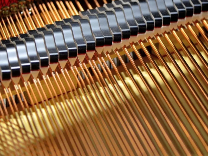 Phá Bỏ Định Kiến: Người Lớn Học Piano Có Muộn Không? Lộ Trình "Tái Khởi Động" Niềm Đam Mê Âm Nhạc