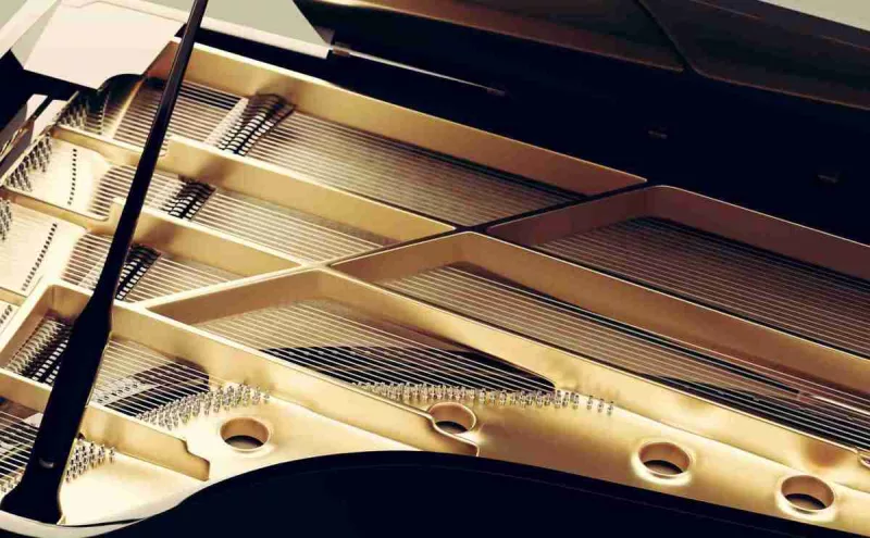 Bảo dưỡng piano