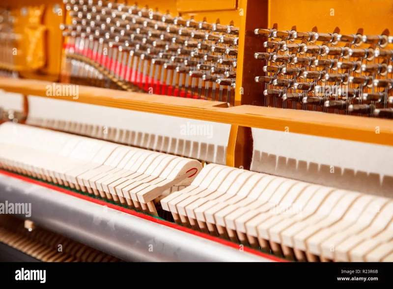 Nghệ thuật piano