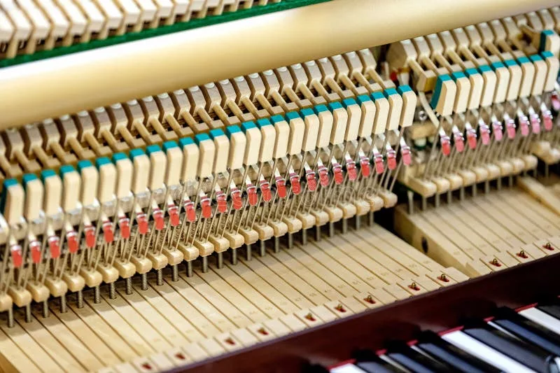 Phục Hồi Âm Sắc Piano "Cổ Điển": Bí Quyết Nâng Cấp Chất Lượng Âm Thanh Đàn Lâu Năm & Chói Gắt