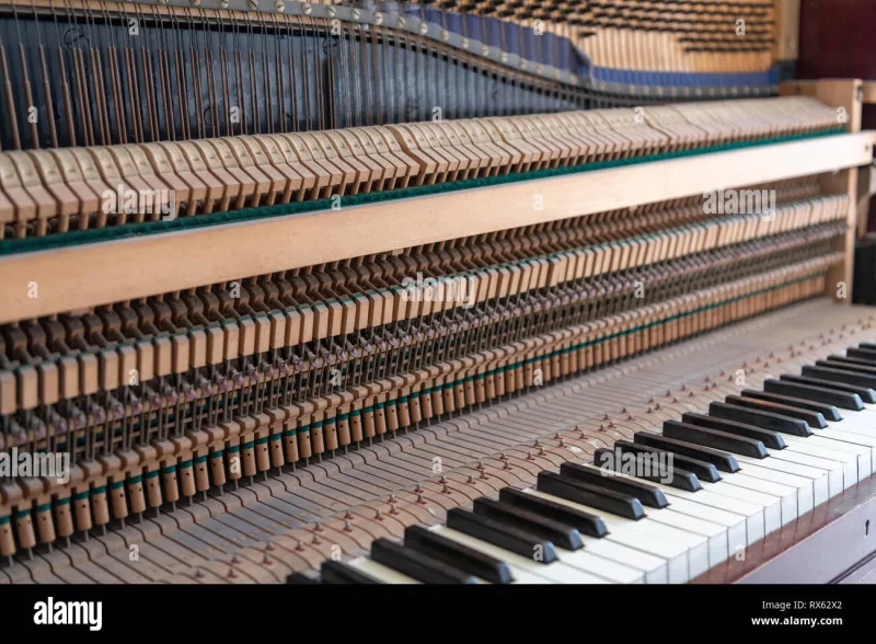 Bảo dưỡng piano