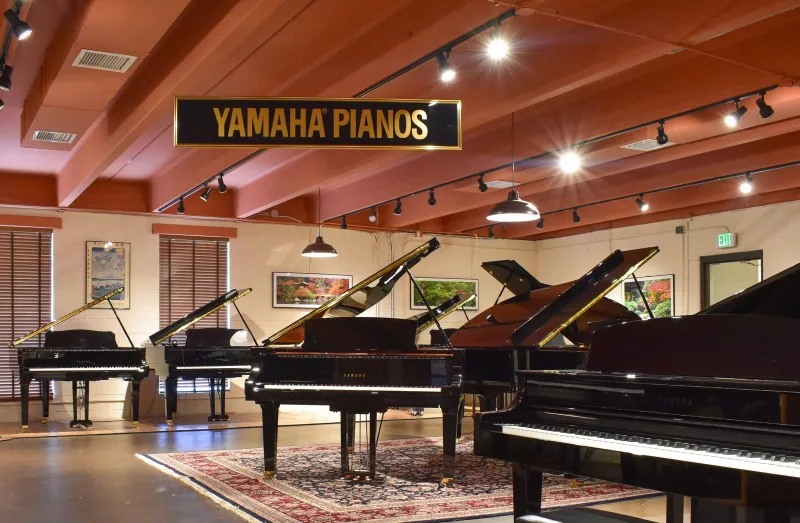 Sửa chữa đàn piano