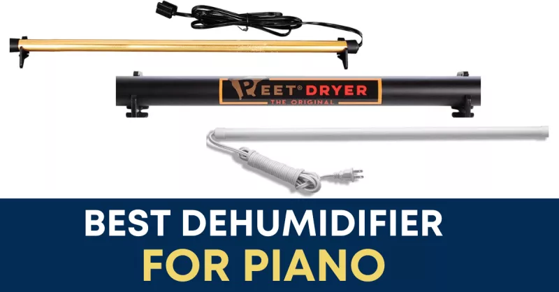 Giải Mã Tiếng Rắc Rắc Khi Dây Piano Đứt: Hướng Dẫn Tự Kiểm Tra & Khi Nào Cần Thợ Chuyên Nghiệp