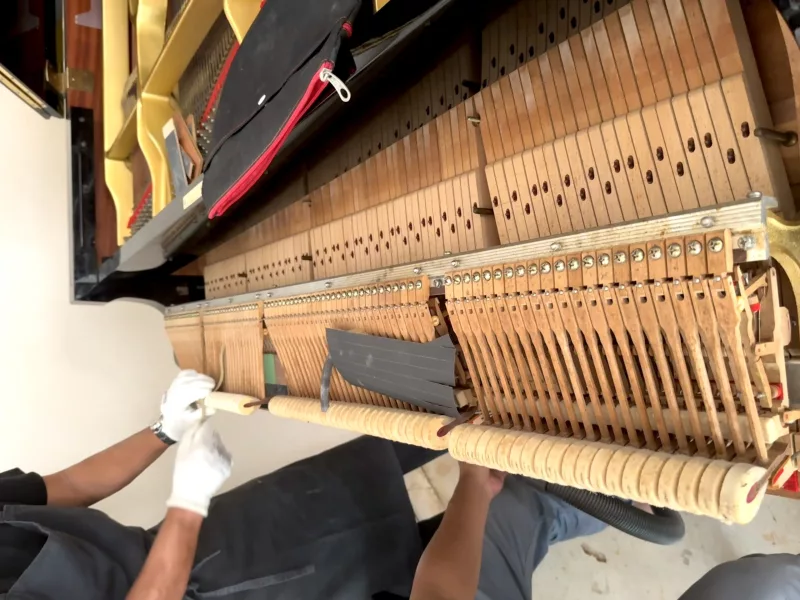 Hơi Thở" Đàn Piano: Bí Quyết Vệ Sinh Nội Thất Sâu & An Toàn Để Giữ Gìn Âm Thanh Tinh Khiết