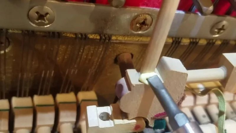 Voicing Piano: Giải Mã Nghệ Thuật “Định Hình Giọng Hát” Độc Quyền Cho Cây Đàn Củ