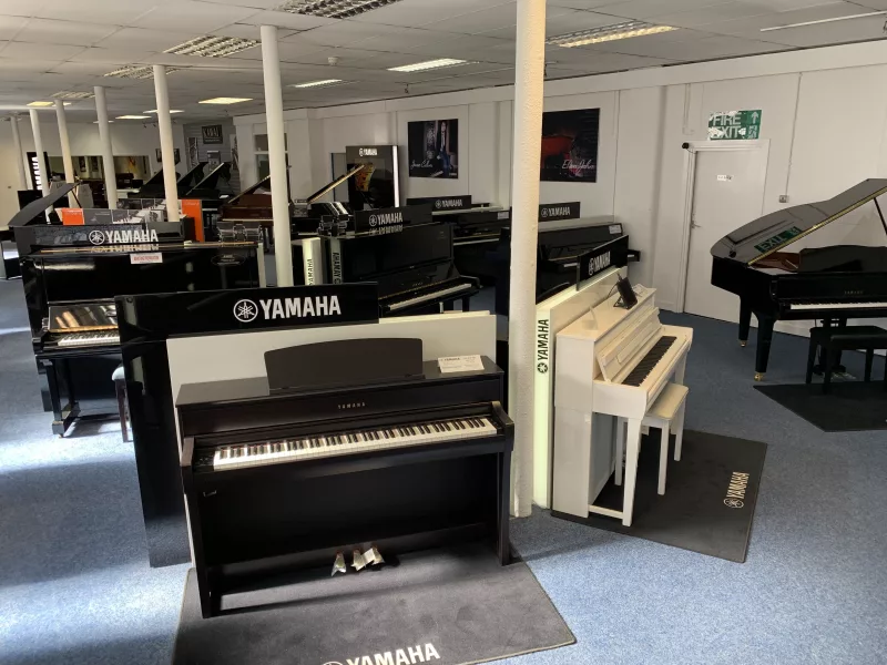 Giải mã Vòng Hợp Âm Huyền Diệu: Bí quyết biến hóa mọi giai điệu piano từ cơ bản đến nâng cao