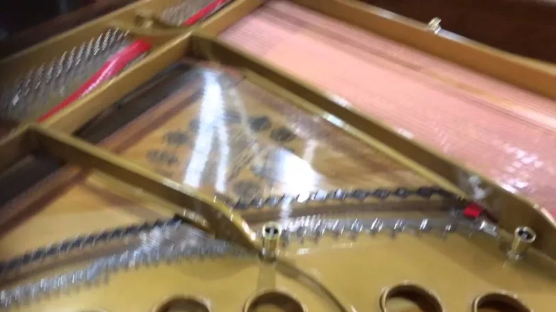 Bảo dưỡng piano