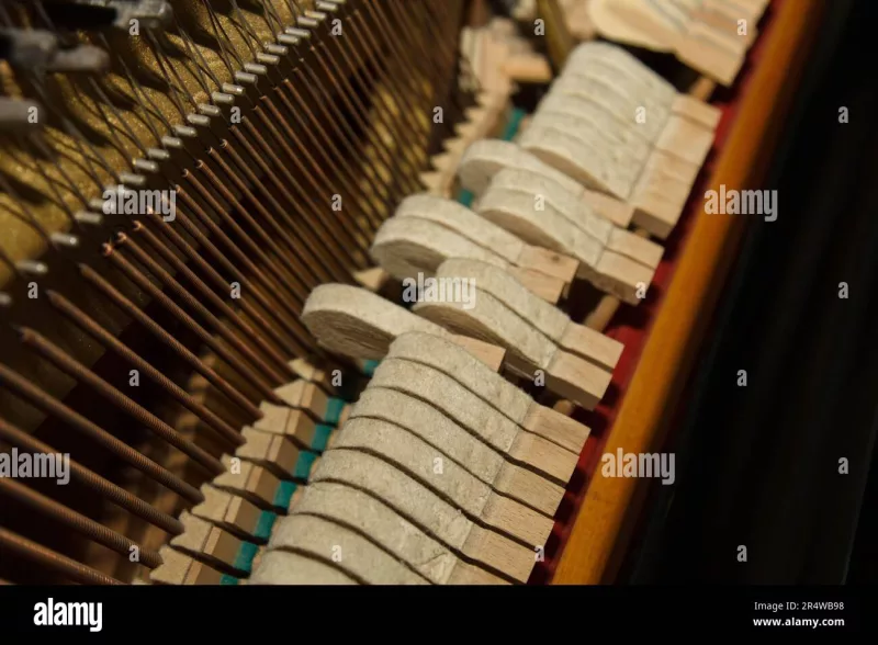 Chi tiết piano cao cấp tại Bắc Kạn