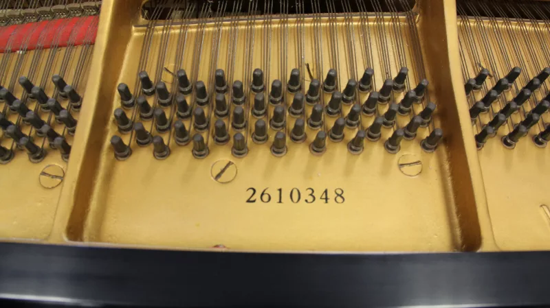 Grand Piano chính hãng tại Biên Hòa