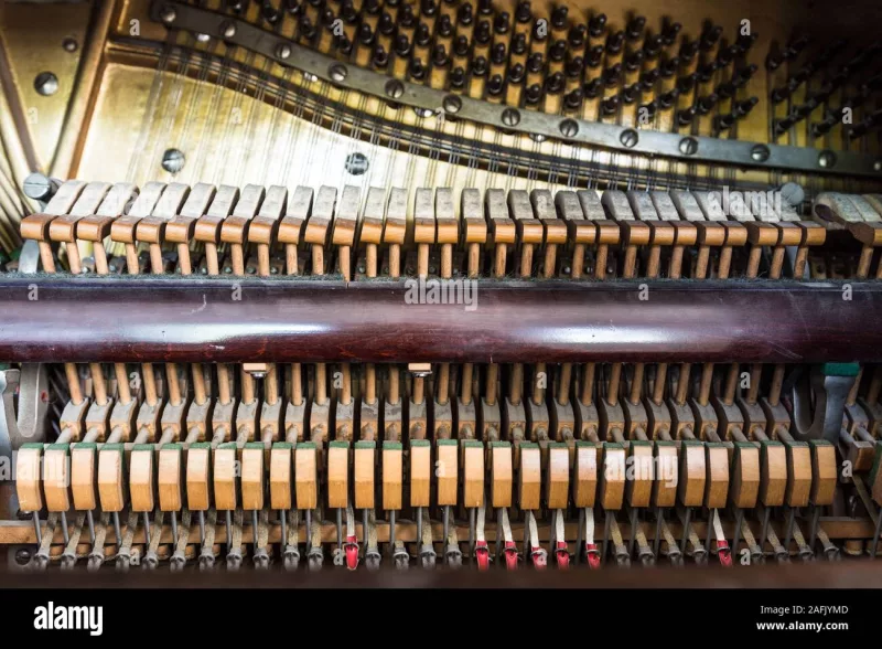 Chi tiết piano cao cấp tại Bình Phước