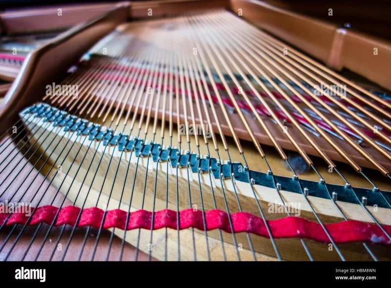 Grand Piano chính hãng tại Bình Thuận