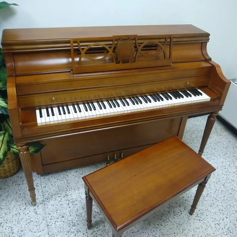 Thương hiệu piano uy tín tại Cần Thơ