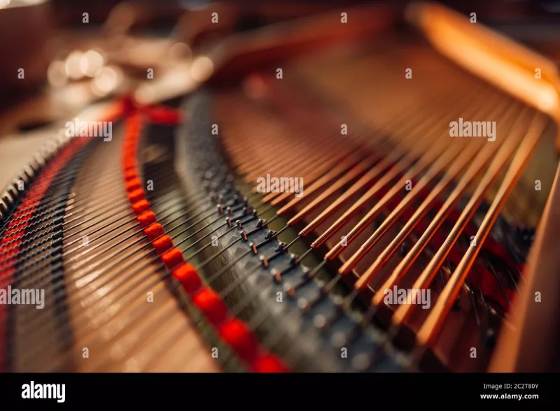 Grand Piano chính hãng tại Điện Biên