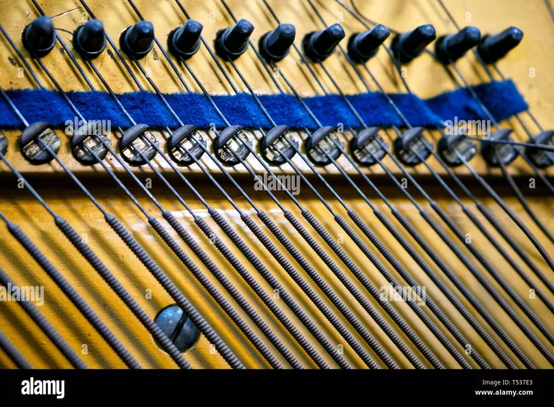 Chi tiết piano cao cấp tại Đồng Tháp