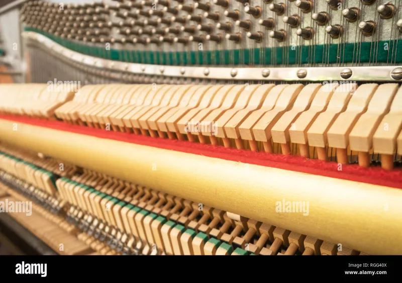 Chi tiết piano cao cấp tại Gia Lai