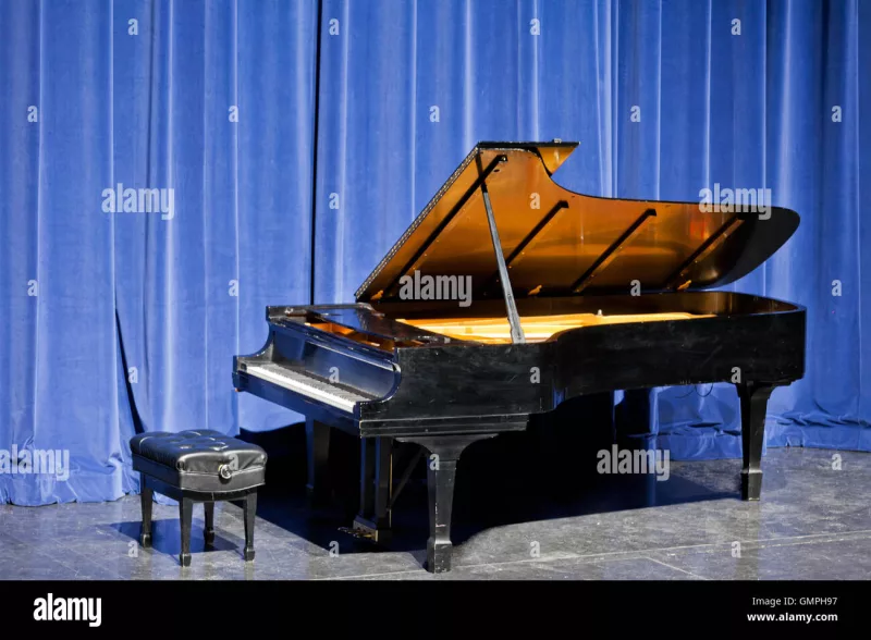 Grand Piano chính hãng tại Hà Nội