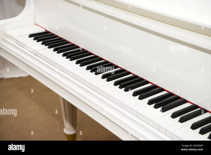 Grand Piano chính hãng tại Hà Tĩnh