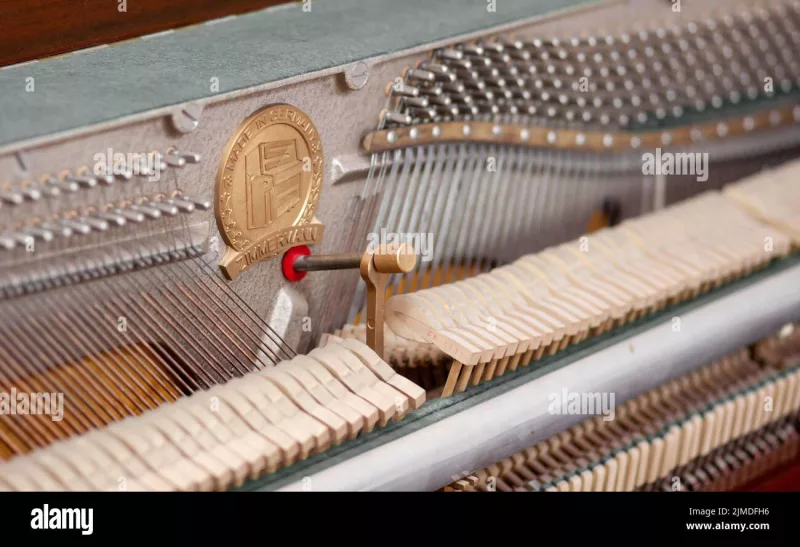 Thương hiệu piano uy tín tại Hải Phòng