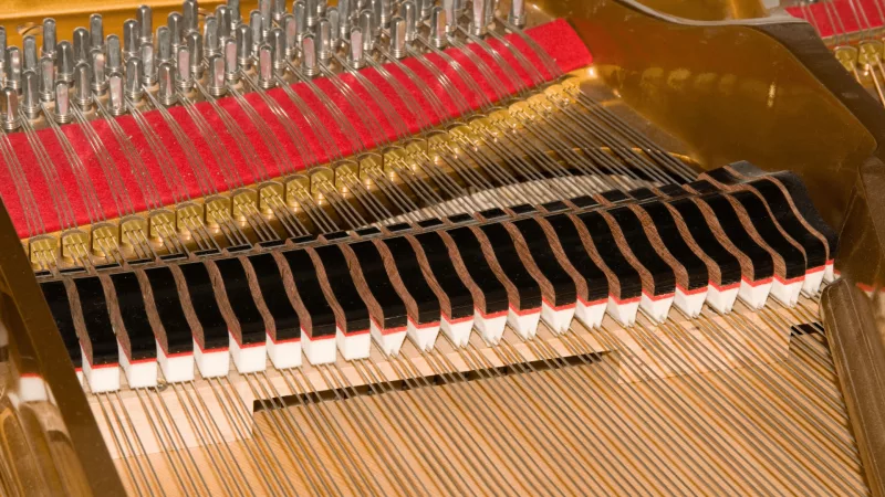 Chi tiết piano cao cấp tại Lạng Sơn