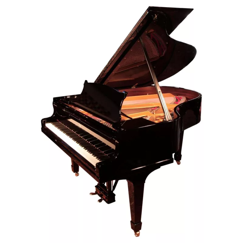 Grand Piano chính hãng tại Lào Cai