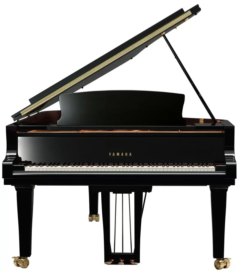 Grand Piano chính hãng tại Long An