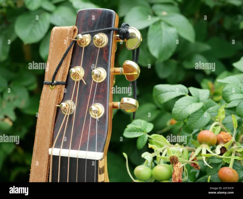 Chi tiết piano cao cấp tại Phú Thọ