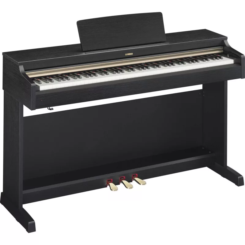 Piano điện chất lượng tại Quảng Ninh
