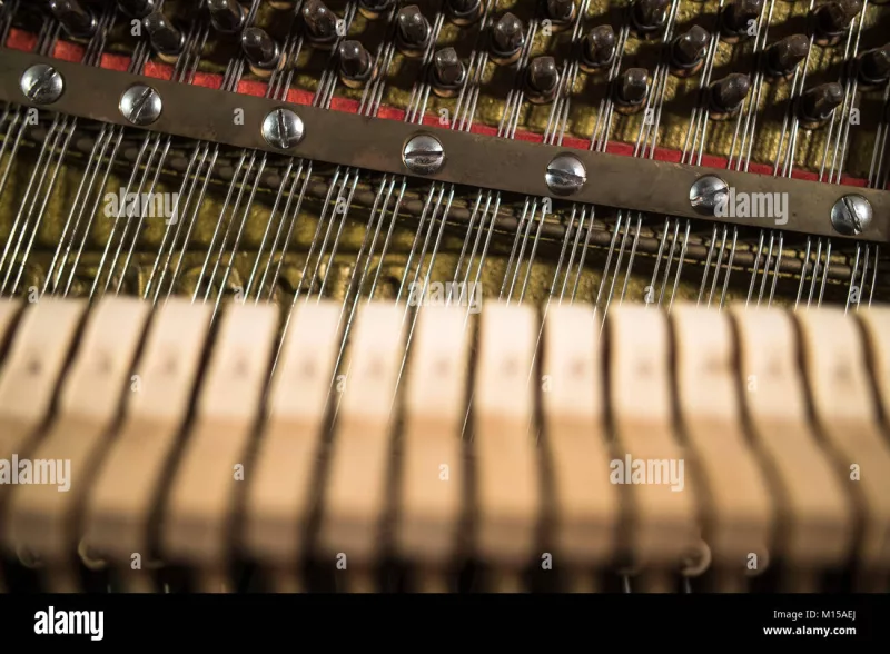 Chi tiết piano cao cấp tại Sóc Trăng