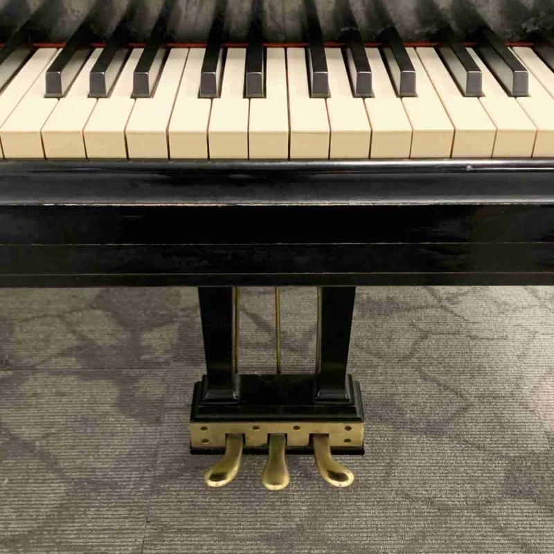 Chi tiết piano cao cấp tại Sơn La