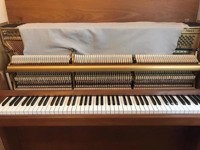 Chi tiết piano cao cấp tại Thái Nguyên