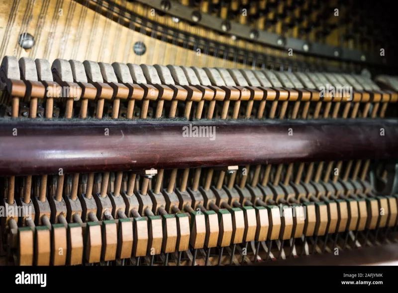 Chi tiết piano cao cấp tại Tiền Giang