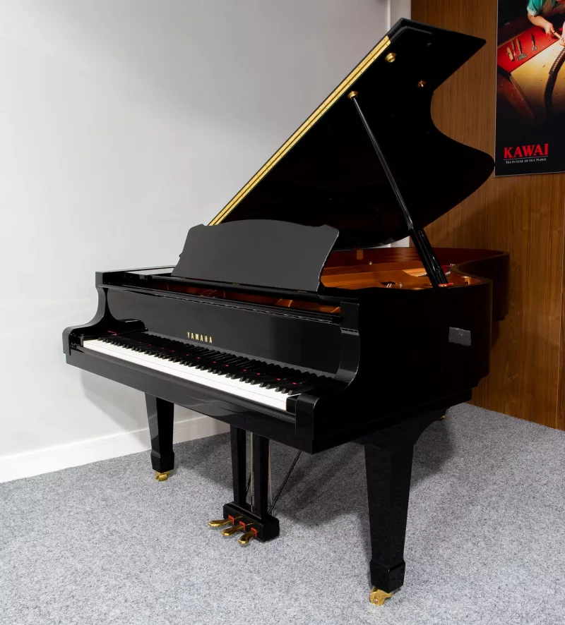 Grand Piano chính hãng tại Vĩnh Long